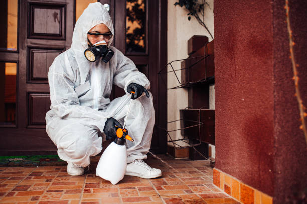 Attic and Crawl Space Rodent Treatment in Gorman
